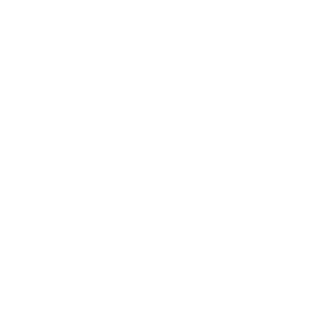 Voltastara logo in white